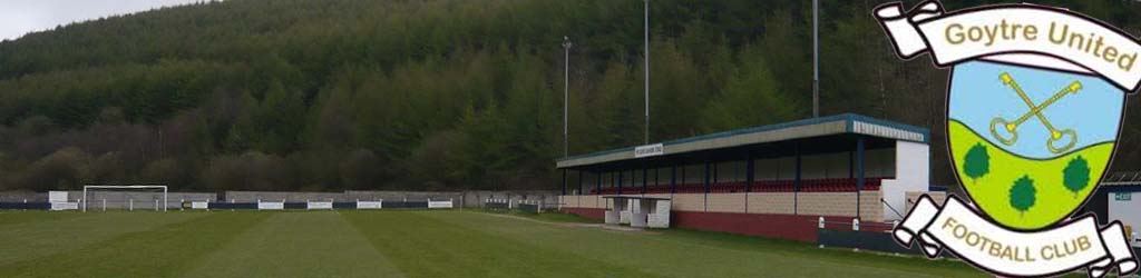 Glenhafod Park Stadium